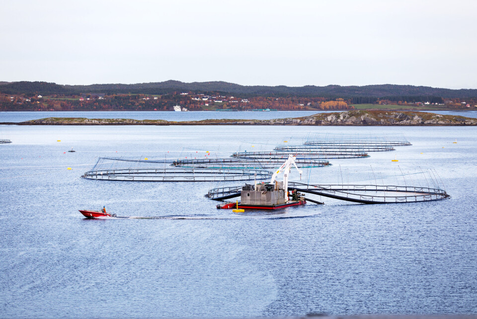 Et regjeringsoppnevnt utvalg legger mandag fram sin anbefaling til skattlegging av oppdrettsnæringen. Foto: Gorm Kallestad / NTB scanpix Et regjeringsoppnevnt utvalg legger mandag fram sin anbefaling til skattlegging av oppdrettsnæringen. Foto: Gorm Kallestad / NTB scanpix