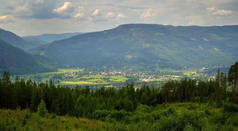 Nes i Buskerud vil fra nyttår hete Nesbyen. Foto: NTB Scanpix Nes i Buskerud vil fra nyttår hete Nesbyen. Foto: NTB Scanpix