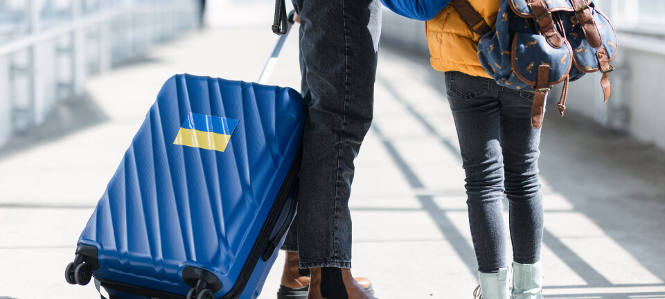 Fire av ti toppledere ser mørkt på å få flyktninger i jobb