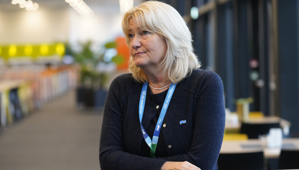 Sørvest politidistrikt undersøker nå om det er grunnlag for å etterforske Sissel Knutsen Hegdals bruk av partimidler.