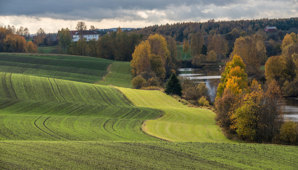 Kommunene pålegges en betydelig større andel i sine reduksjoner av nitrogen enn hva tilfellet er for landbruket, til tross for at landbruket i dag bidrar med større nitrogentilførsler, skriver Jørgen Fidjeland.