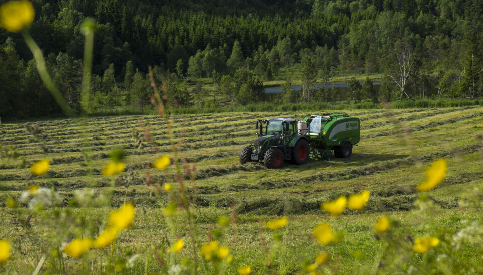 Hvor kan vi bygge, er et viktig spørsmål i mange kommuner. Å bygge på jordbruksareal har vært ett alternativ, men kun cirka 3,5 prosent av arealet vårt er dyrket mark, skriver forskere ved NIBIO.