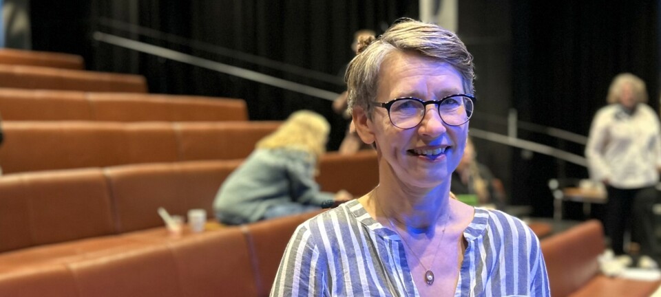 Forsker advarer mot eldregettoer