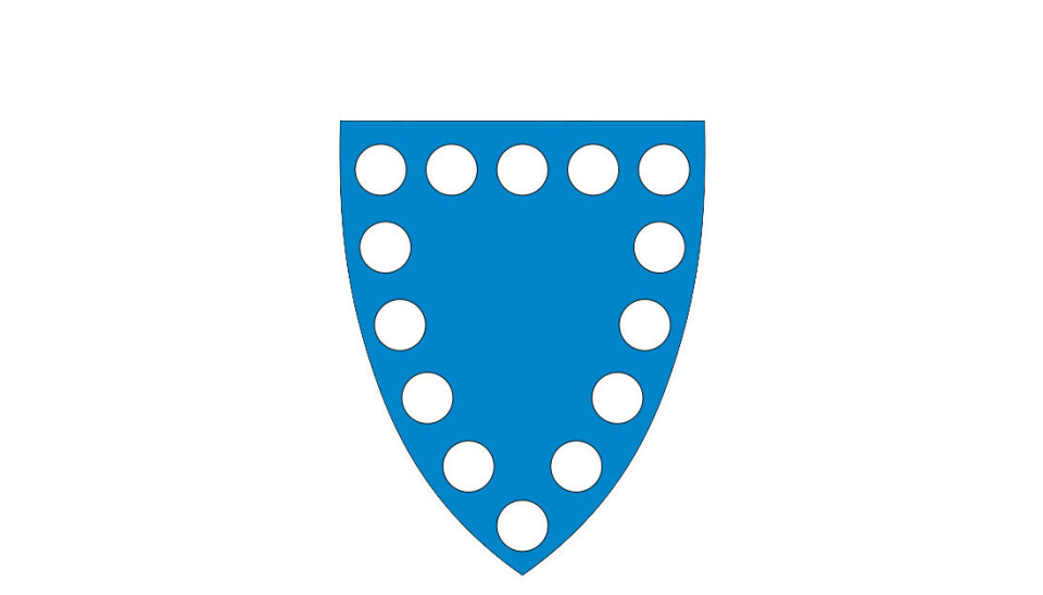 Kommunedirektør