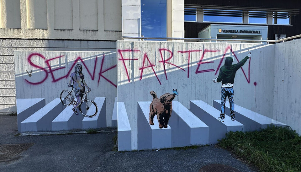 Ungdomsskoleelever har laget kunstverket foran svømmehallen i Vennesla.