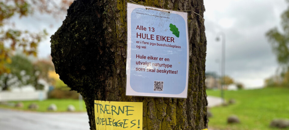 Det er ingen steder å gjemme seg for lokalpolitikere som synes det er vanskelig å bevare natur