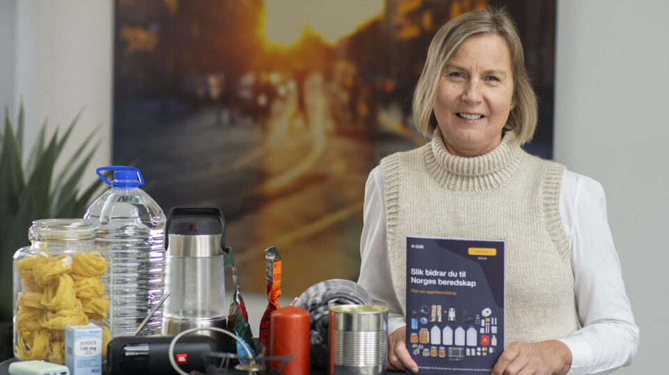 Med bakgrunn i en skjerpet sikkerhetspolitisk situasjon i Europa, er det viktig at de oppdaterte egenberedskapsrådene når flest mulig, skriver DSB-direktør Elisabeth Aarsæther.