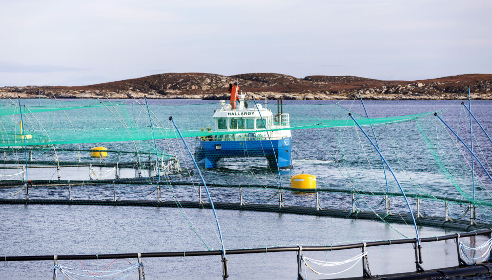 Frøya er kommunen som får mest fra Havbruksfondet i år. Det er også hjemstedet til laksemilliardæren og Salmar-gründeren Gustav Witzøe. Her er et av Salmars anlegg i Frohavet på trøndelagskysten.