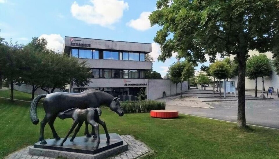 Ås forbedrer seg i seks av tolv sektorer på årets kommunebarometer.