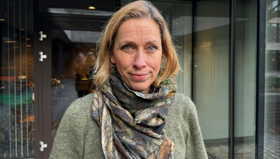 Skolenedleggelsene i Østfold har ikke vært populære. Torsdag la fylkeskommunedirektør Solveig Helene Olsen fram sin innstilling om hvilke skoler og linjer som skal legges ned.