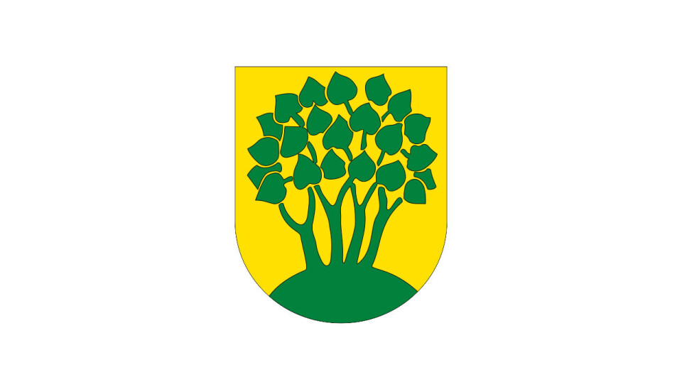 Kommunalsjef, teknisk