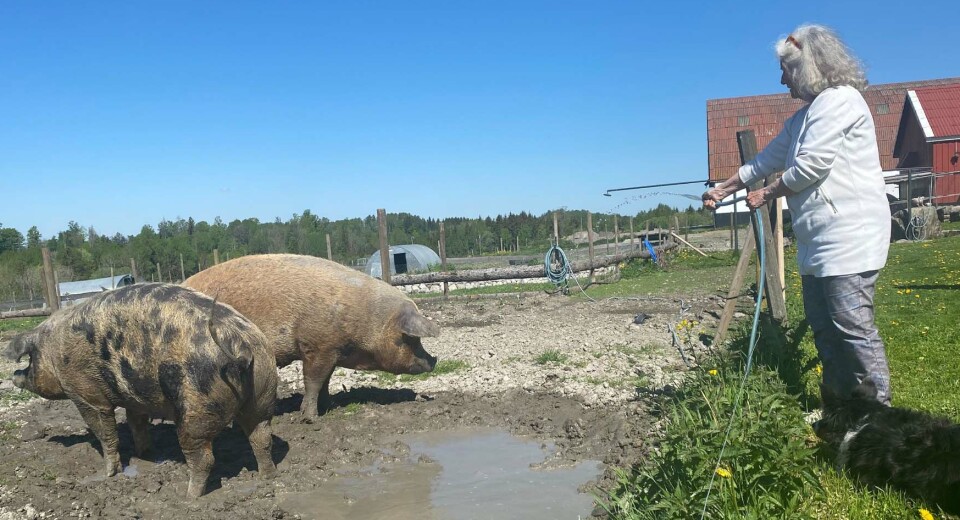 Tilbudet innen demensomsorg på Grøstad Gård i Tønsberg ble lagt ned etter kun ett år i drift. Her velger kommunen å legge ned et tilbud som både brukere og pårørende roser opp i skyene, skriver Sigrid Hjørnegård og Hege Lindstrøm.