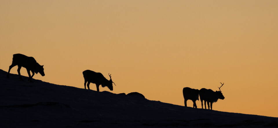 Arealendringene utgjør en akutt trussel mot norsk natur
