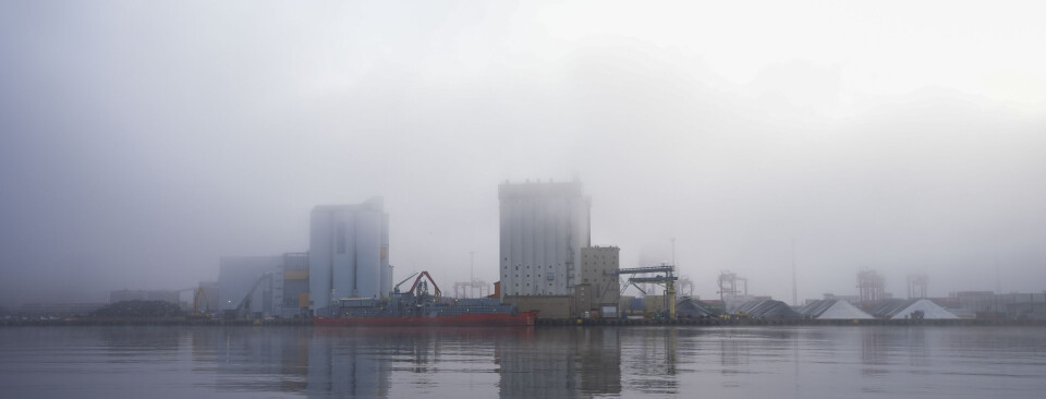 Helsesjekk av Oslofjorden tegner et alvorlig bilde av tilstanden