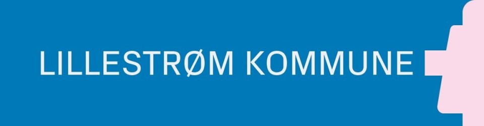 Kommunedirektør