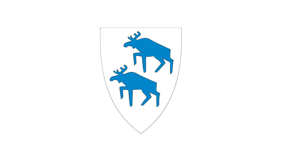 Kommunedirektør