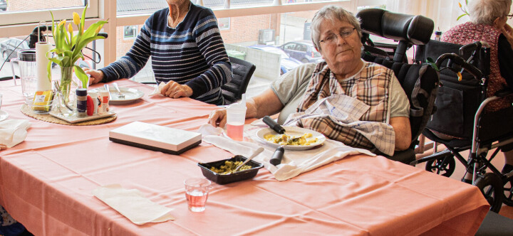 Danskene møter framtida med reformstorm