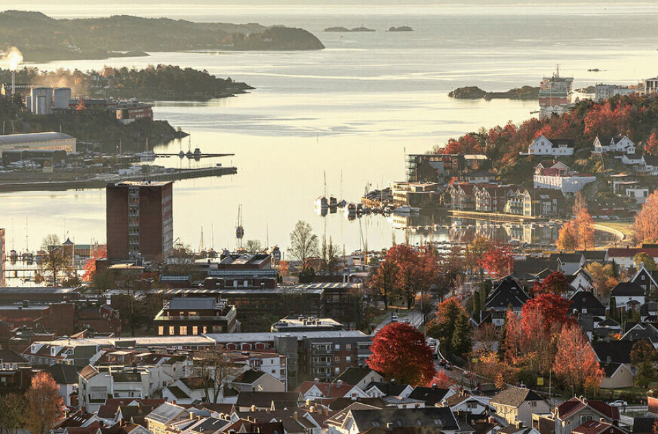 Kommunedirektør