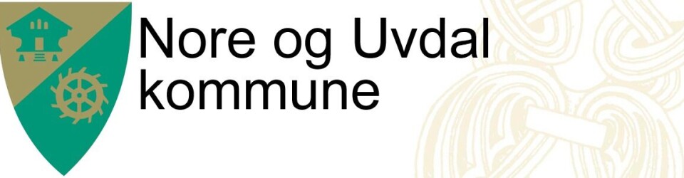 Kommunalsjef samfunnsutvikling