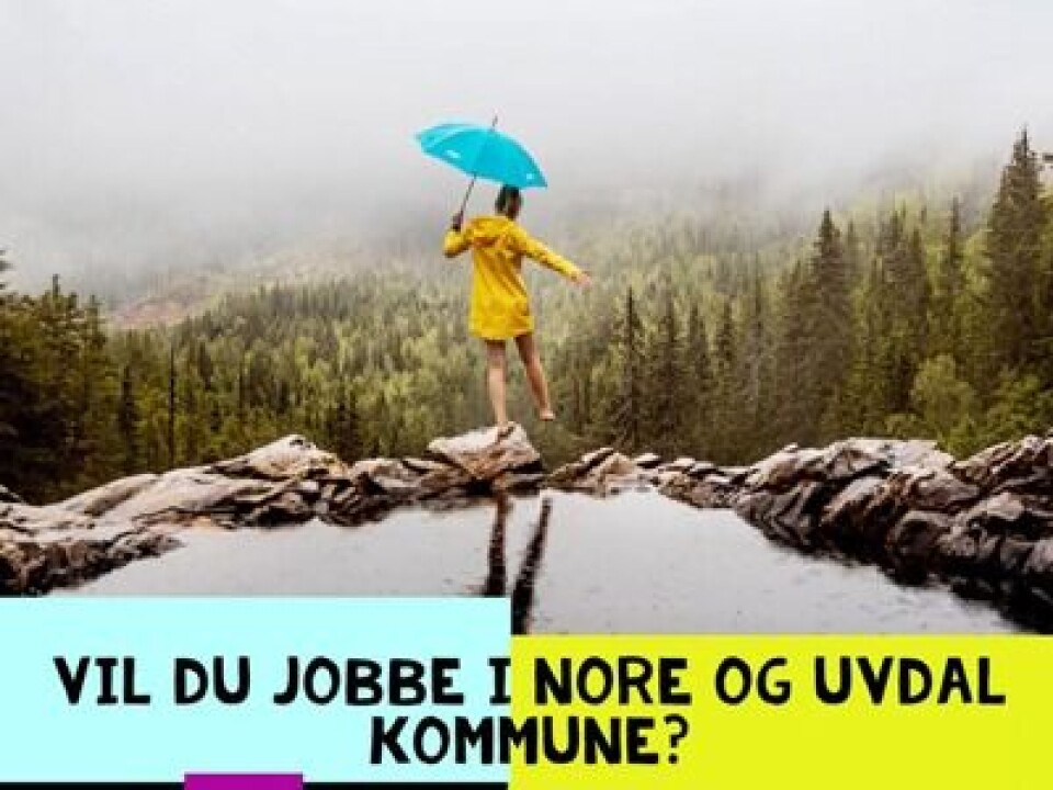 Kommunalsjef samfunnsutvikling