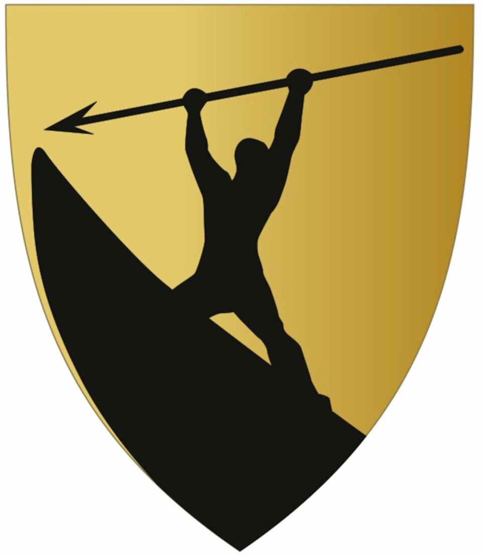 Kommunedirektør