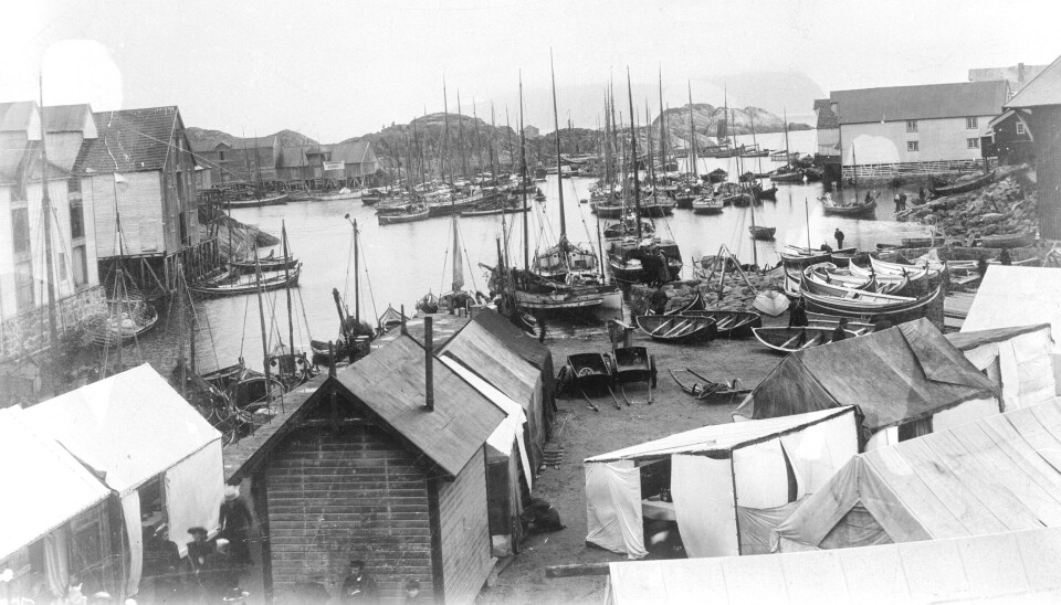 Digitalarkivet inneholder også bildearkiv som i fjor fikk nye søkemuligheter. Her et bilde fra kaia og torget i markedstiden i Kabelvåg fotografert i tidsperioden 1900–1910.