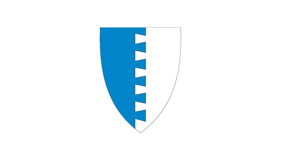 Kommunedirektør