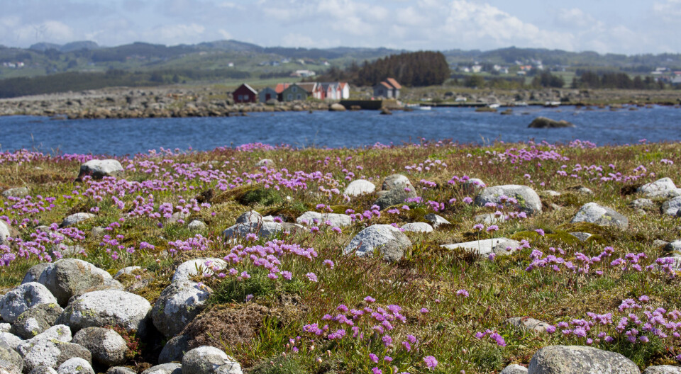 Det krever mot å si nei til dispensasjoner, utbygging i sårbar natur eller investeringer man ikke har råd til, skriver Christïn Von Löwendotter.