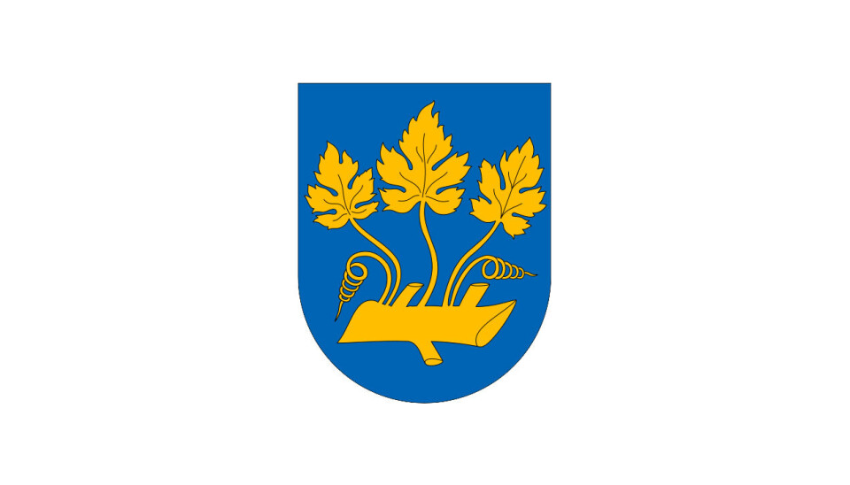 Kommunedirektør