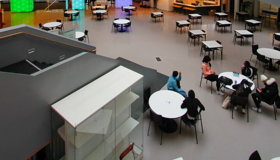 Tangen videregående skole i Agder er den eneste videregående skolen som er nominert til årets Dronning Sonjas skolepris.