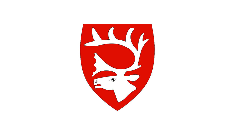 Økonomisjef