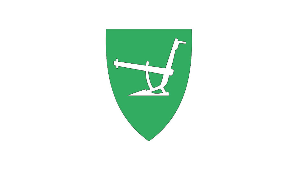 Kommunedirektør