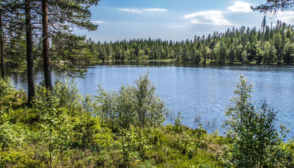 Store naturområder skal etter planen bygges ned til fordel for næring framover.