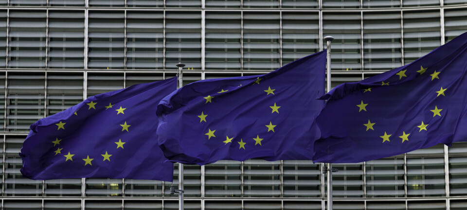 Overreguleringen fortsetter – kommunesektoren rammes