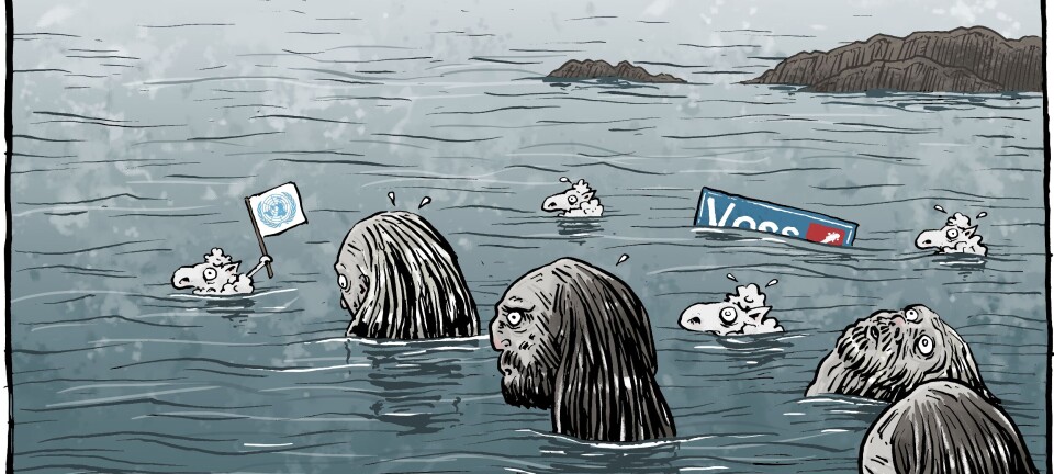 Klimadommen frå FN og kommunane