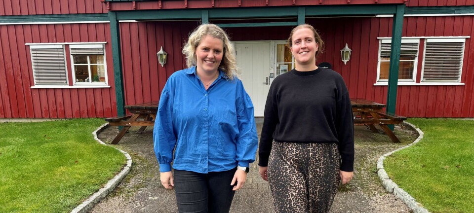 Fanger opp barn og unge i risikosonen med tverrfaglige ressursteam